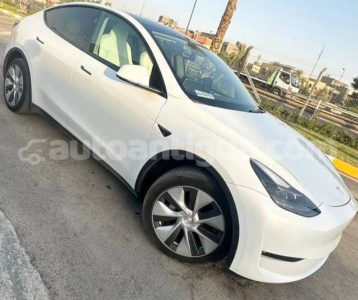 Big with watermark tesla model x antigua st john s 4843