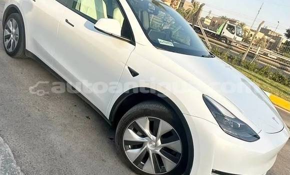 Buy Used Tesla Model X White Car in St John's in Antigua Buy Used Tesla Model X White Car in St John's in Antigua