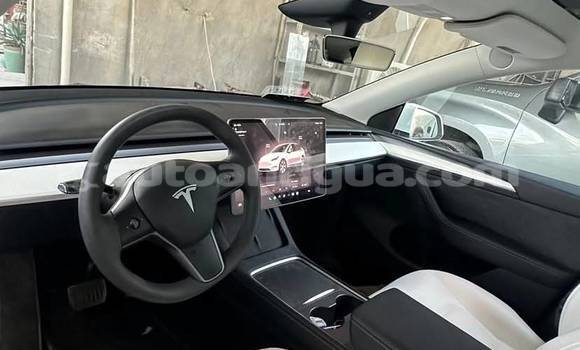 Buy Used Tesla Model X White Car in St John's in Antigua Buy Used Tesla Model X White Car in St John's in Antigua