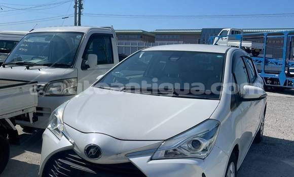 Buy Used Toyota Voltz White Car in All Saints in Antigua