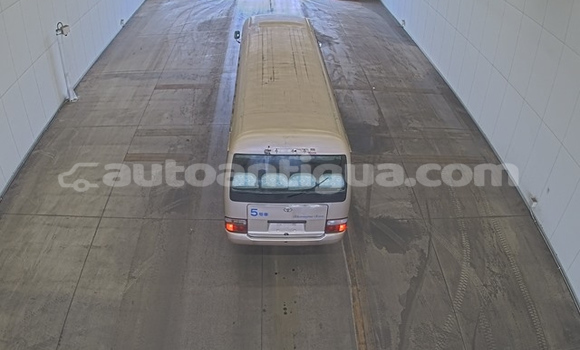 Buy Used Toyota Coaster Beige Car in Bolands in Antigua Buy Used Toyota Coaster Beige Car in Bolands in Antigua