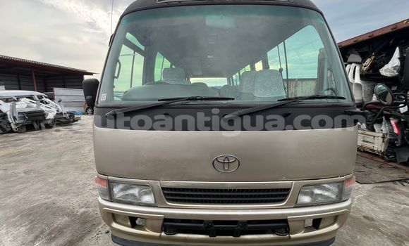 Buy Used Toyota Coaster Beige Car in Bolands in Antigua Buy Used Toyota Coaster Beige Car in Bolands in Antigua