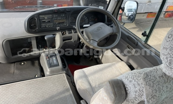 Buy Used Toyota Coaster Beige Car in Bolands in Antigua Buy Used Toyota Coaster Beige Car in Bolands in Antigua