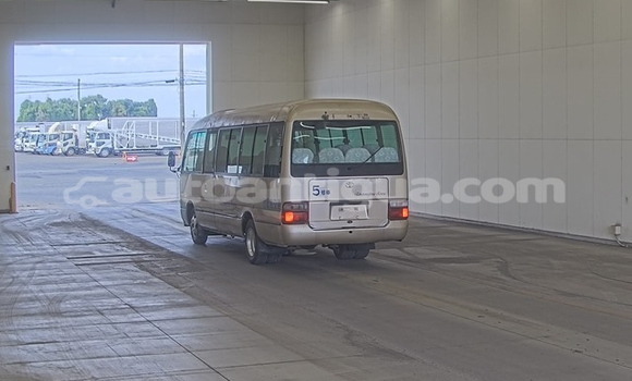 Buy Used Toyota Coaster Beige Car in Bolands in Antigua Buy Used Toyota Coaster Beige Car in Bolands in Antigua