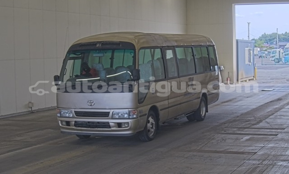 Buy Used Toyota Coaster Beige Car in Bolands in Antigua Buy Used Toyota Coaster Beige Car in Bolands in Antigua