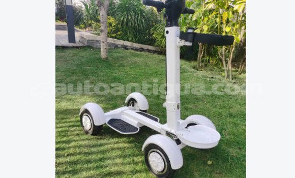 EcoRider G2 Skateboard