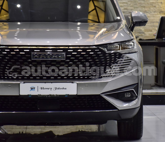 Big with watermark haval h6 antigua import dubai 4854