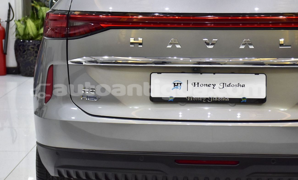Buy Import Haval H6 Silver Car in Import - Dubai in Antigua Buy Import Haval H6 Silver Car in Import - Dubai in Antigua