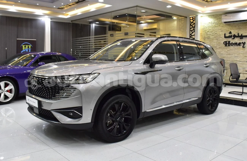 Big with watermark haval h6 antigua import dubai 4854