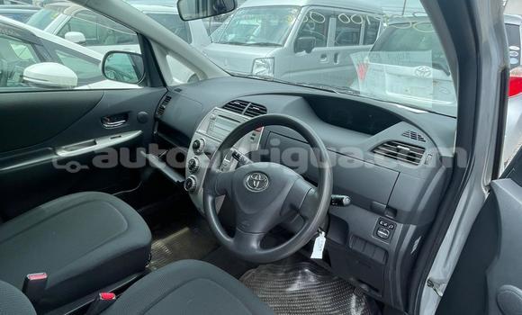 Buy Used Toyota Ractis Silver Car in St John's in Antigua Buy Used Toyota Ractis Silver Car in St John's in Antigua