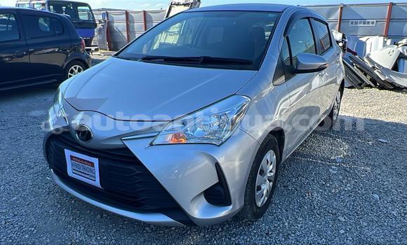 Buy Used Toyota Vitz Silver Car in All Saints in Antigua