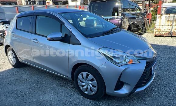 Buy Used Toyota Vitz Silver Car in All Saints in Antigua Buy Used Toyota Vitz Silver Car in All Saints in Antigua