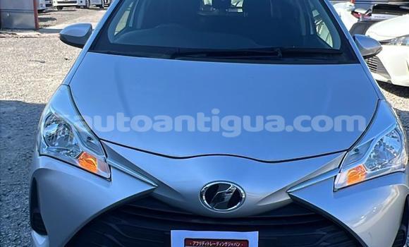 Buy Used Toyota Vitz Silver Car in All Saints in Antigua Buy Used Toyota Vitz Silver Car in All Saints in Antigua