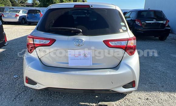 Buy Used Toyota Vitz Silver Car in All Saints in Antigua Buy Used Toyota Vitz Silver Car in All Saints in Antigua