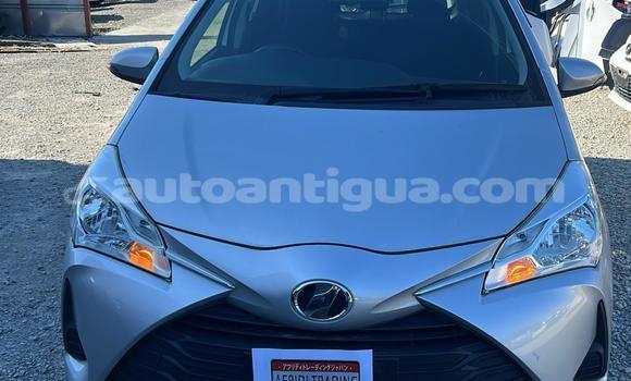 Buy Used Toyota Vitz Silver Car in All Saints in Antigua Buy Used Toyota Vitz Silver Car in All Saints in Antigua