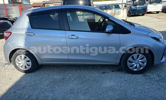 Buy Used Toyota Vitz Silver Car in All Saints in Antigua Buy Used Toyota Vitz Silver Car in All Saints in Antigua