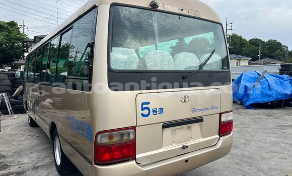 Buy Used Toyota Coaster Beige Car in All Saints in Antigua Buy Used Toyota Coaster Beige Car in All Saints in Antigua