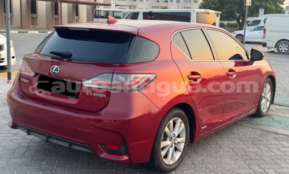 Buy Used Lexus CT Red Car in St John's in Antigua Buy Used Lexus CT Red Car in St John's in Antigua
