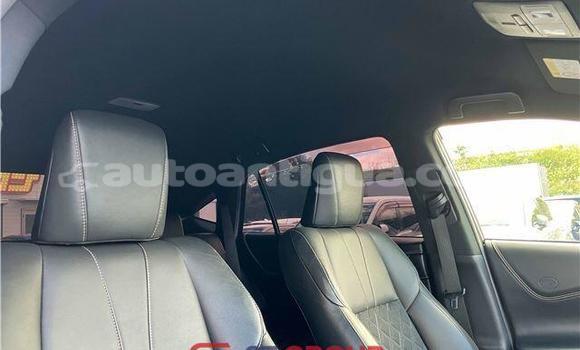Buy Import Toyota Harrier White Car in Import - Dubai in Antigua Buy Import Toyota Harrier White Car in Import - Dubai in Antigua