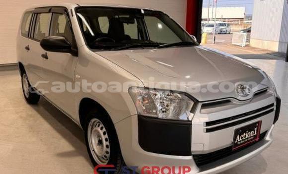 Buy Used Toyota Probox Silver Car in Import - Dubai in Antigua