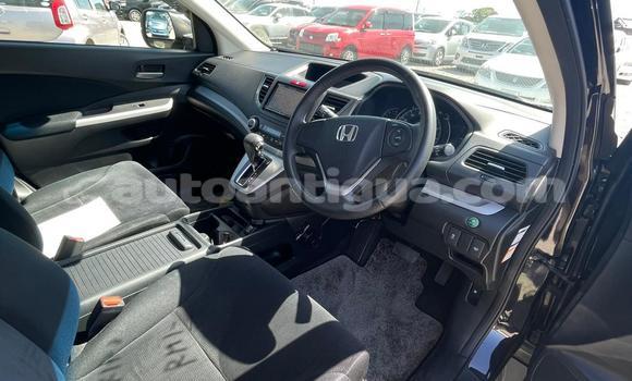 Buy Used Honda CR–V Black Car in All Saints in Antigua Buy Used Honda CR–V Black Car in All Saints in Antigua