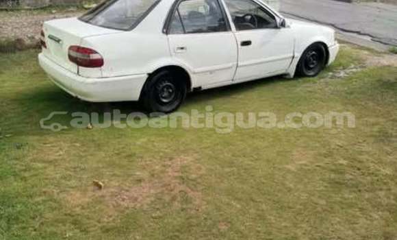 Buy Used Toyota Corolla Other Car in All Saints in Antigua