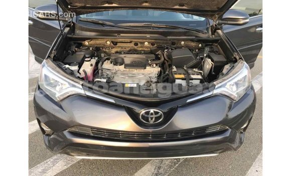 Buy Import Toyota HiAce Black Truck in Import - Dubai in Antigua Buy Import Toyota HiAce Black Truck in Import - Dubai in Antigua