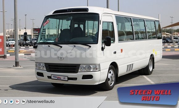 Buy Import Toyota Coaster White Car in Import - Dubai in Antigua Buy Import Toyota Coaster White Car in Import - Dubai in Antigua