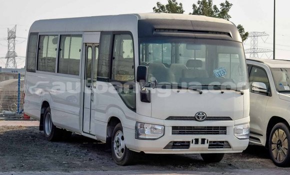 Buy Import Toyota Coaster White Car in Import - Dubai in Antigua Buy Import Toyota Coaster White Car in Import - Dubai in Antigua