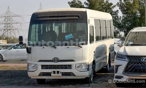 Buy Import Toyota Coaster White Car in Import - Dubai in Antigua Buy Import Toyota Coaster White Car in Import - Dubai in Antigua