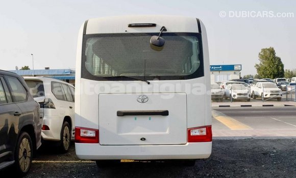 Buy Import Toyota Coaster White Car in Import - Dubai in Antigua Buy Import Toyota Coaster White Car in Import - Dubai in Antigua