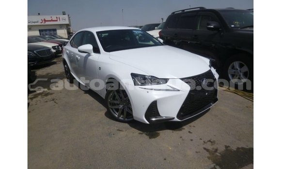 Buy Import Lexus IS White Car in Import - Dubai in Antigua Buy Import Lexus IS White Car in Import - Dubai in Antigua