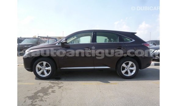 Buy Import Lexus RX Brown Car in Import - Dubai in Antigua Buy Import Lexus RX Brown Car in Import - Dubai in Antigua