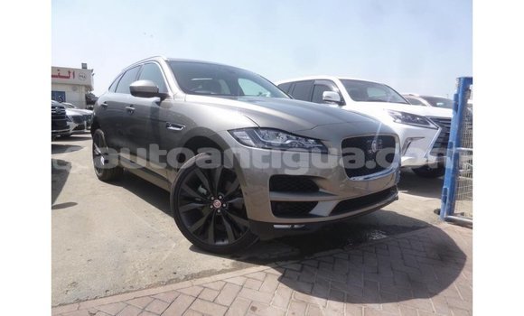 Buy Import Jaguar F-Pace Other Car in Import - Dubai in Antigua