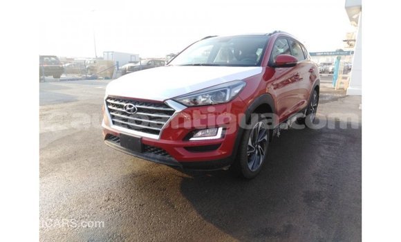 Buy Import Hyundai Tucson Red Car in Import - Dubai in Antigua Buy Import Hyundai Tucson Red Car in Import - Dubai in Antigua