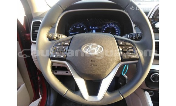 Buy Import Hyundai Tucson Red Car in Import - Dubai in Antigua Buy Import Hyundai Tucson Red Car in Import - Dubai in Antigua