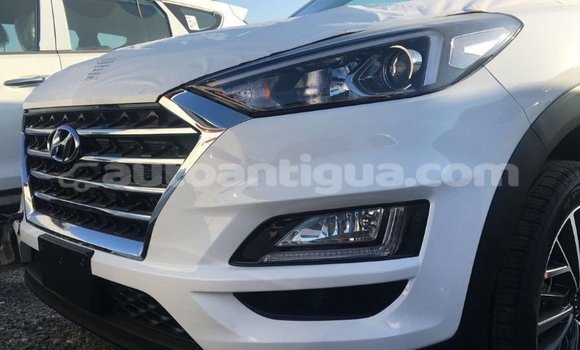 Buy Import Hyundai Tucson White Car in Import - Dubai in Antigua Buy Import Hyundai Tucson White Car in Import - Dubai in Antigua