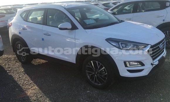 Buy Import Hyundai Tucson White Car in Import - Dubai in Antigua Buy Import Hyundai Tucson White Car in Import - Dubai in Antigua