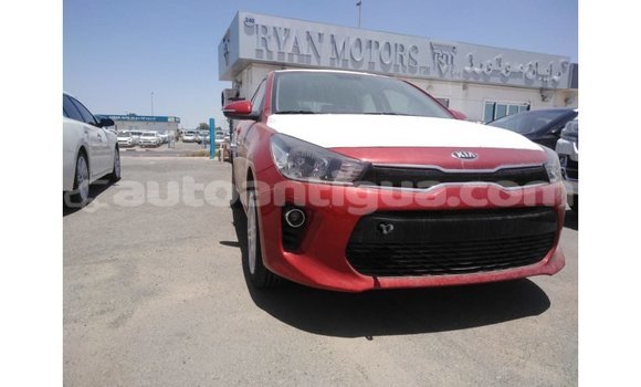 Buy Import Kia Rio Red Car in Import - Dubai in Antigua