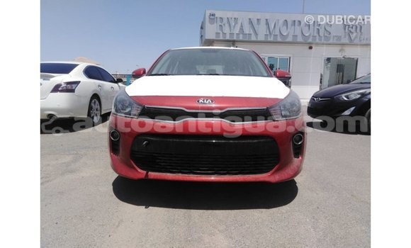 Buy Import Kia Rio Red Car in Import - Dubai in Antigua Buy Import Kia Rio Red Car in Import - Dubai in Antigua