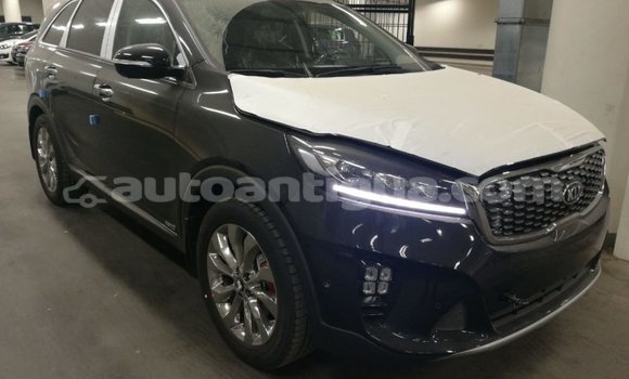 Buy Import Kia Sorento Brown Car in Import - Dubai in Antigua