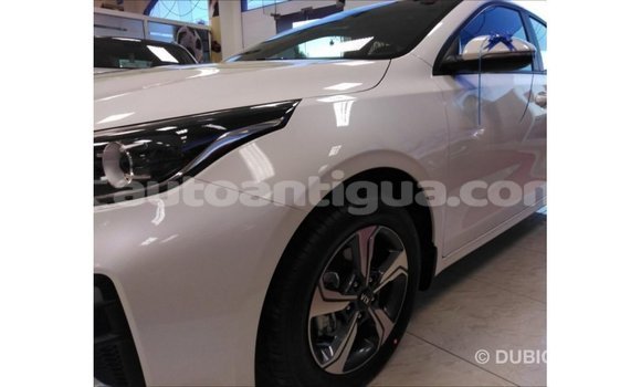 Buy Import Kia Cerato White Car in Import - Dubai in Antigua Buy Import Kia Cerato White Car in Import - Dubai in Antigua