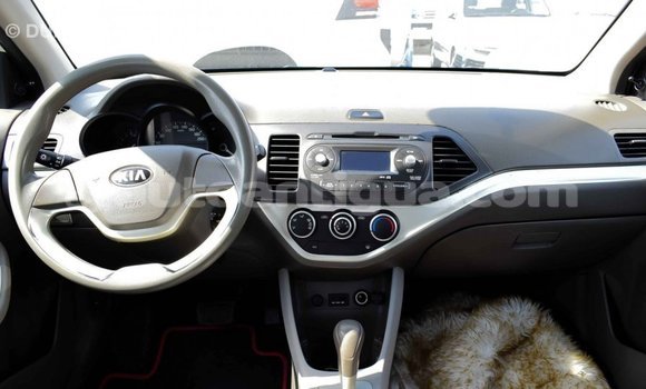 Buy Import Kia Picanto White Car in Import - Dubai in Antigua Buy Import Kia Picanto White Car in Import - Dubai in Antigua