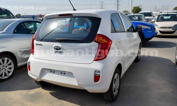 Buy Import Kia Picanto White Car in Import - Dubai in Antigua Buy Import Kia Picanto White Car in Import - Dubai in Antigua