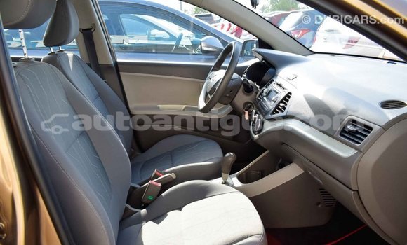 Buy Import Kia Picanto Brown Car in Import - Dubai in Antigua Buy Import Kia Picanto Brown Car in Import - Dubai in Antigua