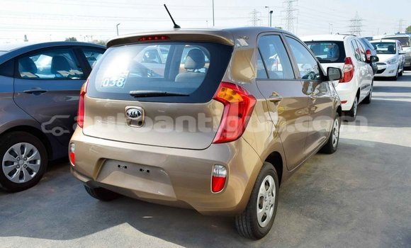Buy Import Kia Picanto Brown Car in Import - Dubai in Antigua Buy Import Kia Picanto Brown Car in Import - Dubai in Antigua