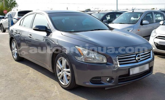 Buy Import Nissan Maxima Other Car in Import - Dubai in Antigua Buy Import Nissan Maxima Other Car in Import - Dubai in Antigua