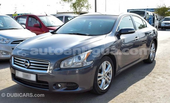 Buy Import Nissan Maxima Other Car in Import - Dubai in Antigua Buy Import Nissan Maxima Other Car in Import - Dubai in Antigua