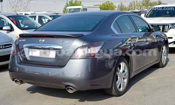 Buy Import Nissan Maxima Other Car in Import - Dubai in Antigua Buy Import Nissan Maxima Other Car in Import - Dubai in Antigua