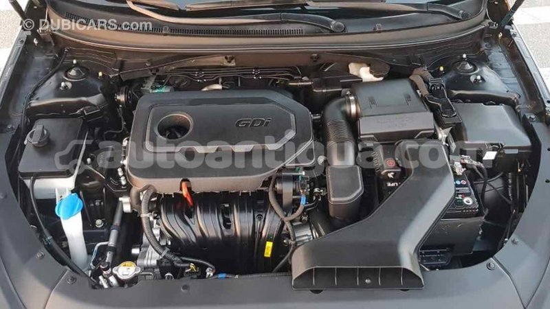 Big with watermark 84f070f1 dfd4 45fb a187 a53380023a79